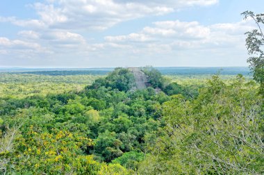 Calakmul ayrıca Kalakmul - Meksika 'nın Campeche eyaletinde Maya arkeolojik alanı..