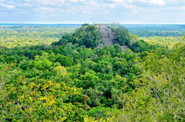Calakmul ayrıca Kalakmul - Meksika 'nın Campeche eyaletinde Maya arkeolojik alanı..