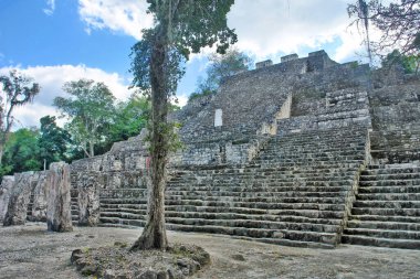 Calakmul ayrıca Kalakmul - Meksika 'nın Campeche eyaletinde Maya arkeolojik alanı..