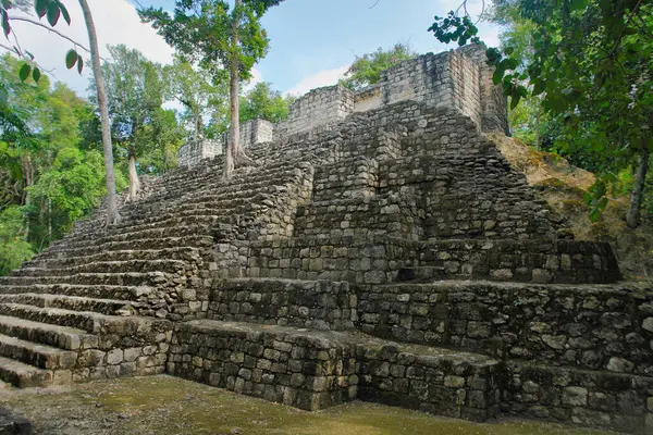 Calakmul ayrıca Kalakmul - Meksika 'nın Campeche eyaletinde Maya arkeolojik alanı..