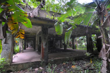 Truk Lagoon 'daki Eten Adası' ndaki Japon askeri binalarının kalıntıları.