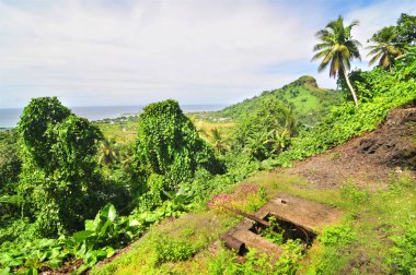Truk Lagoon 'daki Eten Adası' ndaki Japon askeri binalarının kalıntıları.