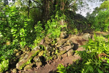 Kosrae Mikronezya Eyaleti, Lelu Adası 'ndaki Leluh arkeolojik alanı.