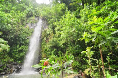 Kosrae Şelalesi - Mikronezya Birleşik Devletleri 'nde bir ada.