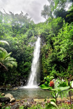 Kosrae Şelalesi - Mikronezya Birleşik Devletleri 'nde bir ada.