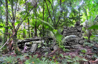 Nan Madol - Mikronezya Federasyonu 'nun Pohnpei adasındaki arkeolojik alan