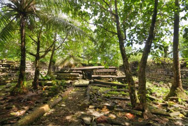 Nan Madol - Mikronezya Federasyonu 'nun Pohnpei adasındaki arkeolojik alan