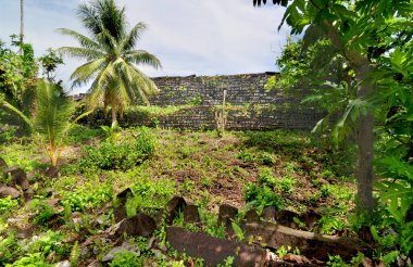 Nan Madol - Mikronezya Federasyonu 'nun Pohnpei adasındaki arkeolojik alan