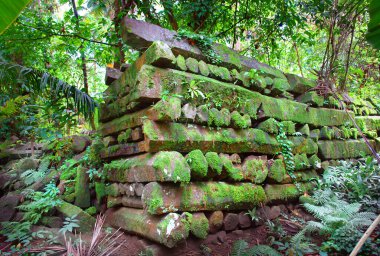 Nan Madol - Mikronezya Federasyonu 'nun Pohnpei adasındaki arkeolojik alan