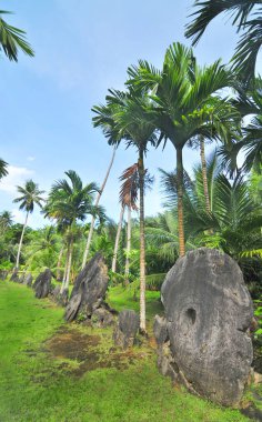 Rai, ya da Yap, Mikronezya adasında taş para