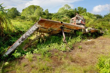 Mikronezya Yap Adası 'nda İkinci Dünya Savaşı' ndan kalma uçak enkazı