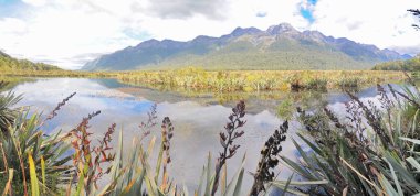   Ayna Gölleri - Yeni Zelanda 'da Te Anau' dan Milford Sound 'a uzanan bir dizi göl.                              