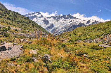 Yeni Zelanda 'nın güney adasındaki Cook Ulusal Parkı' ndaki Kea Point