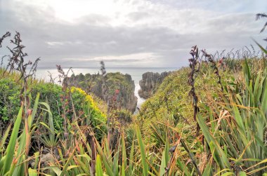 Punakaiki Yeni Zelanda: Krep kayaları ve hava delikleri kıyı kayaları oluşumu                                