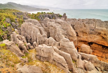 Punakaiki Yeni Zelanda: Krep kayaları ve hava delikleri kıyı kayaları oluşumu                                
