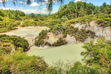 Waiotapu Aktif Jeotermal Bölgesi, Yeni Zelanda 'nın Taup Volkanik Bölgesi Rotorua' da, Rapor Kalderasının kuzeyinde.