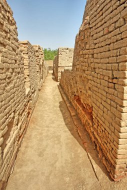 Mohenjo-daro - Pakistan 'ın Sindh eyaletinde bir arkeolojik alan