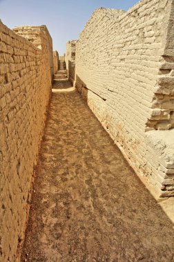 Mohenjo-daro - Pakistan 'ın Sindh eyaletinde bir arkeolojik alan