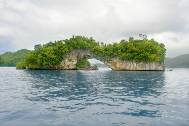 Palau takımadasındaki Arch Rock Adası, Mikronezya