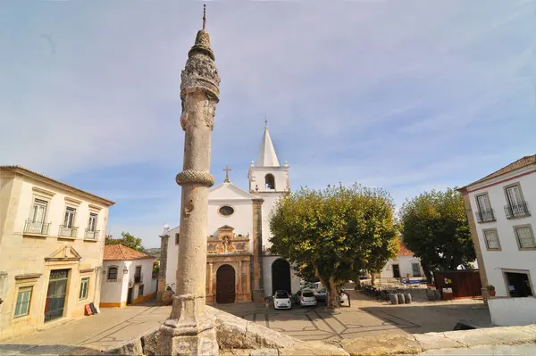 Bidos 'ta kale - Portekiz' de iyi korunmuş kale ve duvarları olan ortaçağ güçlendirilmiş eski şehir.