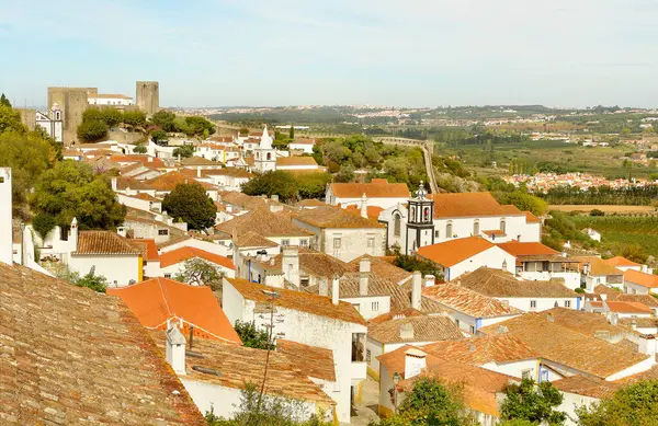 Bidos 'ta kale - Portekiz' de iyi korunmuş kale ve duvarları olan ortaçağ güçlendirilmiş eski şehir.