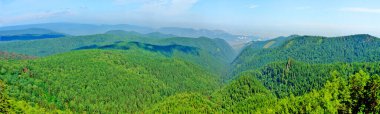 Krasnoyarsk çevresindeki Stolby rezervlerinde kaya oluşumları                              