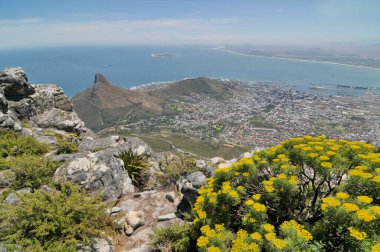 Cape Town veya Kaapstad Panoraması - Güney Afrika 'nın yasama başkenti, Masa Dağı' ndan