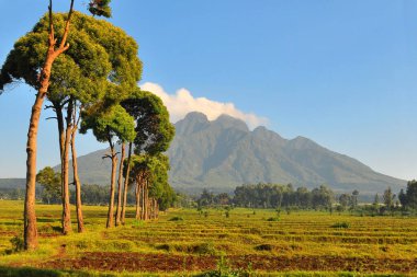 Ruanda 'daki Virunga Dağları