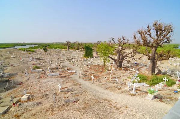 Fadiouth Adası 'ndaki mezarlık, Senegal, Afrika' daki deniz kabuklarından oluşuyor.