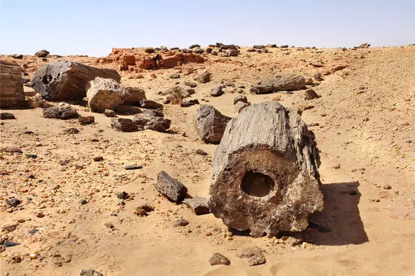 El Kurru yakınlarındaki Taşlaşmış Orman, Sudan
