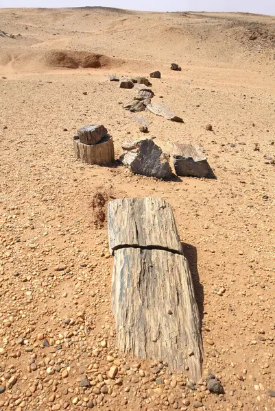 El Kurru yakınlarındaki Taşlaşmış Orman, Sudan
