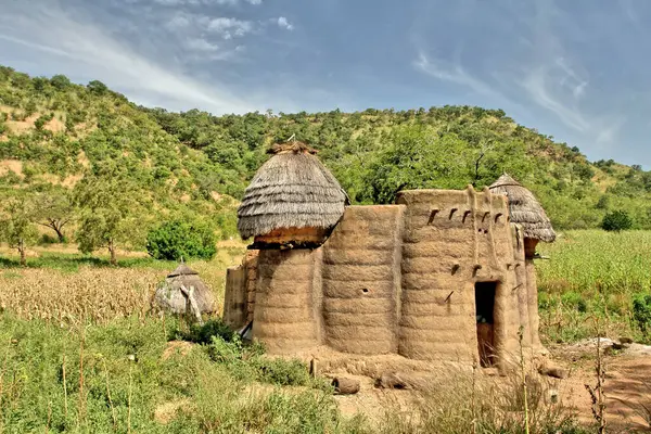 Togo 'daki Tammari halkının geleneksel evlerini çamur tuğlası aldı.                               
