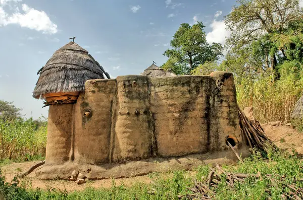 Togo 'daki Tammari halkının geleneksel evlerini çamur tuğlası aldı.                               