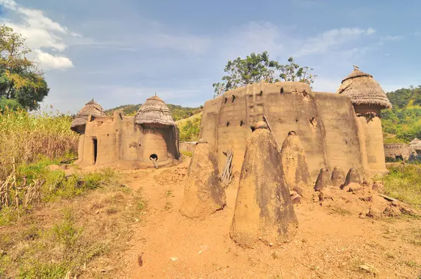 Togo 'daki Tammari halkının geleneksel evlerini çamur tuğlası aldı.                               