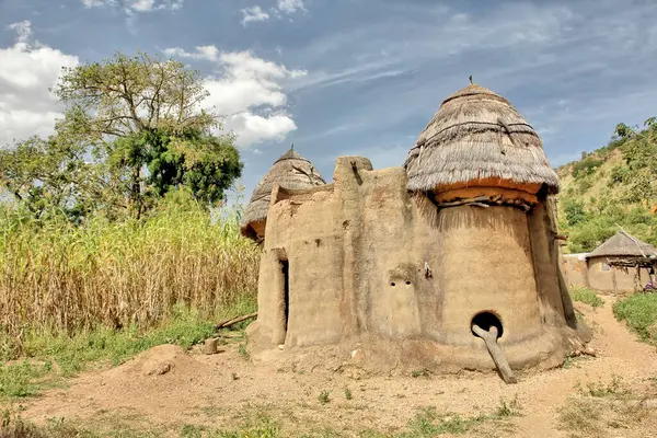 Togo 'daki Tammari halkının geleneksel evlerini çamur tuğlası aldı.                               