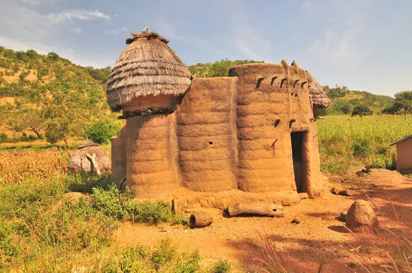 Togo 'daki Tammari halkının geleneksel evlerini çamur tuğlası aldı.                               