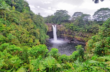 Hilo, Hawaii 'de bulunan Gökkuşağı Şelalesi.
