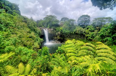 Hilo, Hawaii 'de bulunan Gökkuşağı Şelalesi.