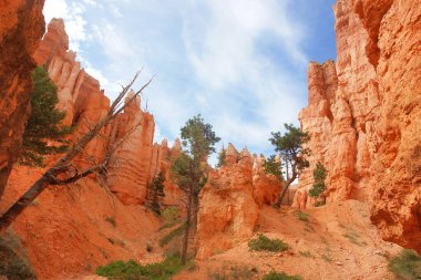 Bryce Canyon Ulusal Parkı, Utah 'ın güneybatısında yer almaktadır.