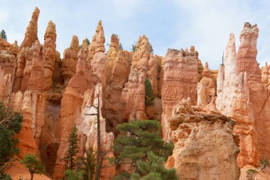 Bryce Canyon Ulusal Parkı, Utah 'ın güneybatısında yer almaktadır.