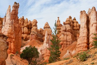 Bryce Canyon Ulusal Parkı, Utah 'ın güneybatısında yer almaktadır.