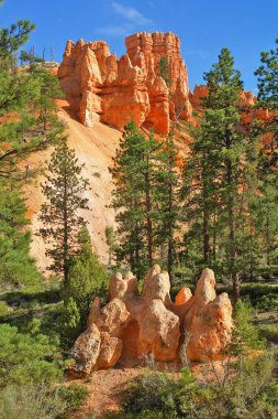 Bryce Canyon Ulusal Parkı, Utah 'ın güneybatısında yer almaktadır.