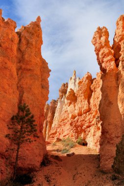 Bryce Canyon Ulusal Parkı, Utah 'ın güneybatısında yer almaktadır.