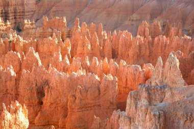 Bryce Canyon Ulusal Parkı, Utah 'ın güneybatısında yer almaktadır.
