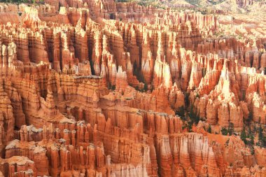 Bryce Canyon Ulusal Parkı, Utah 'ın güneybatısında yer almaktadır.