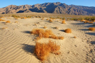 Kaliforniya 'daki ünlü Ölüm Vadisi' nde çöl ve kum tepeleri.