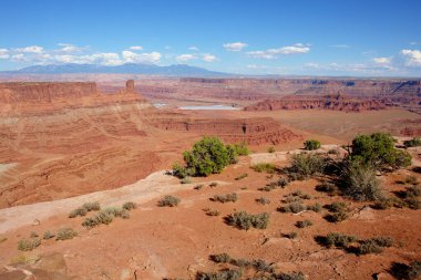 Arizona 'daki Ölü At Çiftliği Eyalet Parkı, Birleşik Devletler, Verde Nehri üzerinde