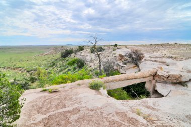 Arizona 'daki Petrified Forest Ulusal Parkı' nın Akik Köprüsü büyük taşlaşmış ahşap yatakları için isimlendirilmiştir.