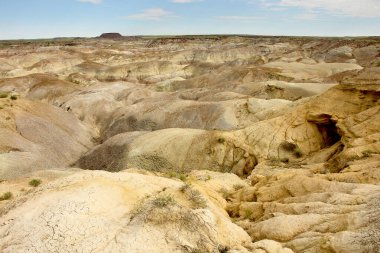 Arizona 'daki Petrified Forest Ulusal Parkı' nın manzarası adını taşlaşmış büyük ağaç yataklarından almıştır.