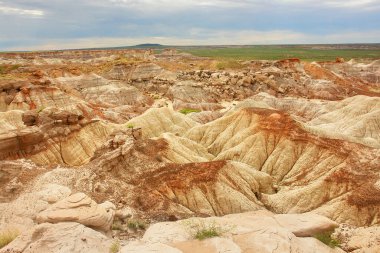 Arizona 'daki Petrified Forest Ulusal Parkı' nın manzarası adını taşlaşmış büyük ağaç yataklarından almıştır.